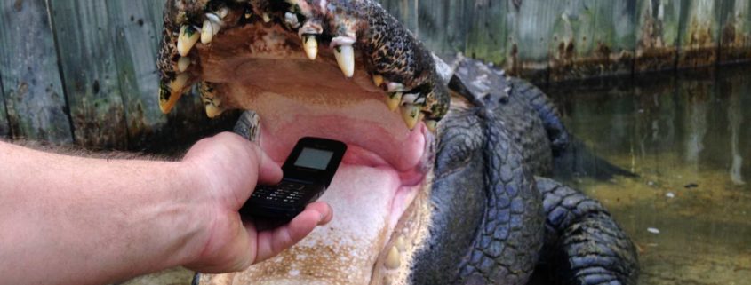 MICHAEL, THE ALLIGATOR WRESTLER–AND TEXTER